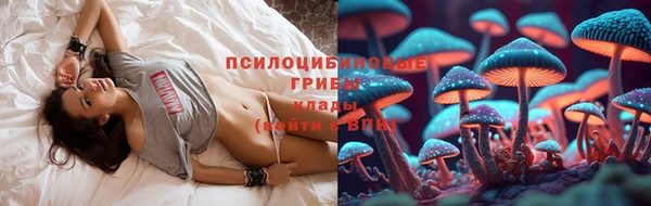 мескалин Балахна