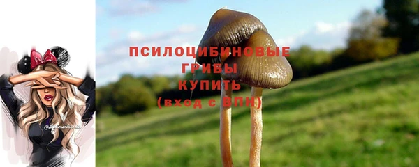 бутират Баксан