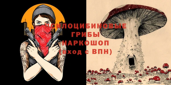 бутират Баксан