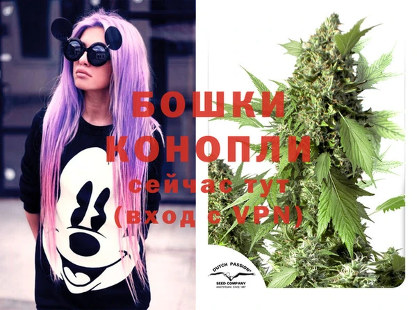 бутират Баксан