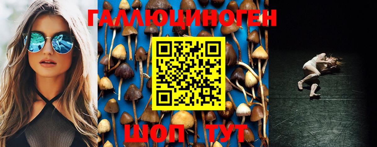 Великие Луки  Псилоцибиновые грибы Psilocybine cubensis  Галлюциногенные грибы Psilocybine cubensis  купить наркоту  Вход с VPN 